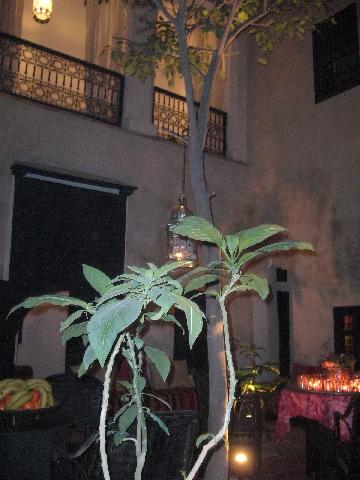 RIAD TIBIBT Hotel MARRAKECH Riad MARRAKECH : Exemple de chambre